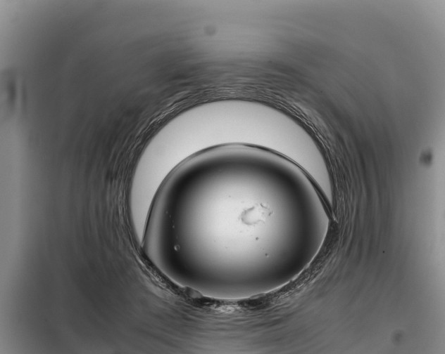 X0000099310409200805091022