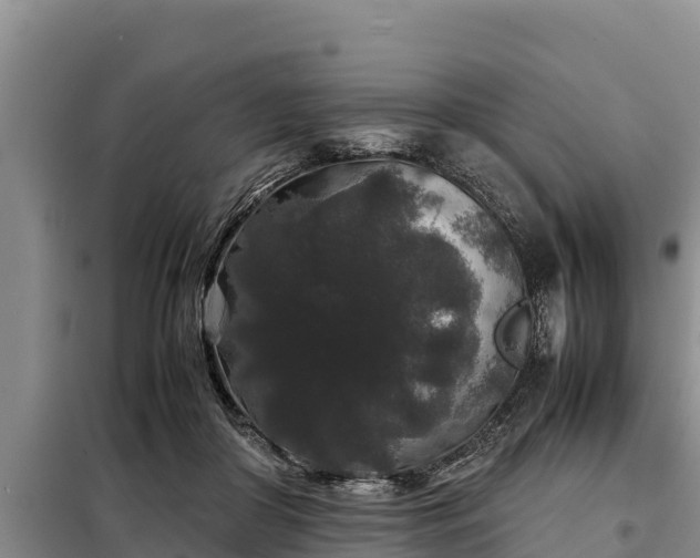 X0000099310410200805091022