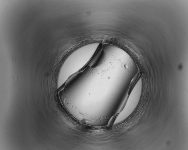 X0000099310411200805091022