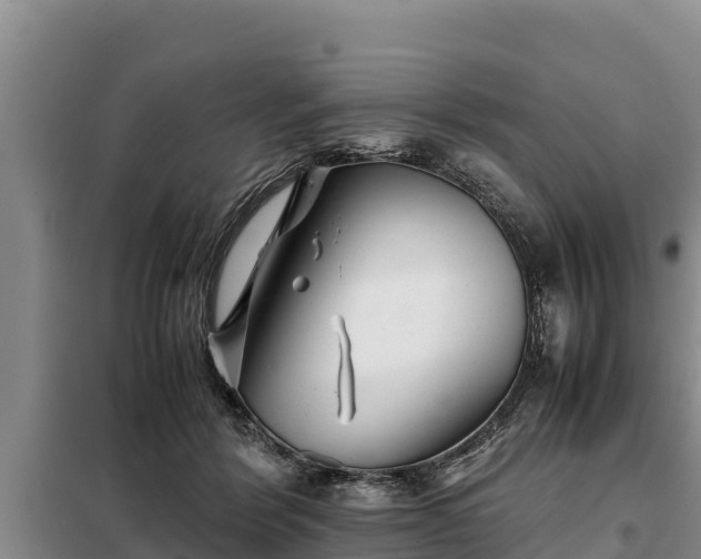 X0000099310412200805091022