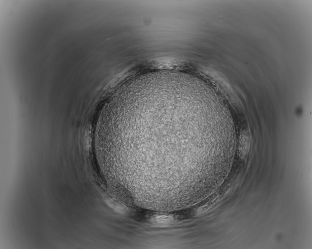 X0000099310413200805091022