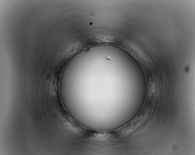 X0000099310414200805091022