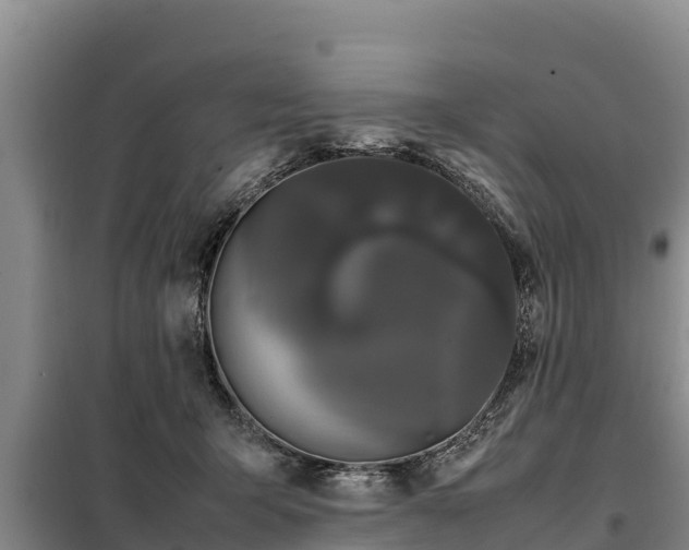 X0000099310415200805091022