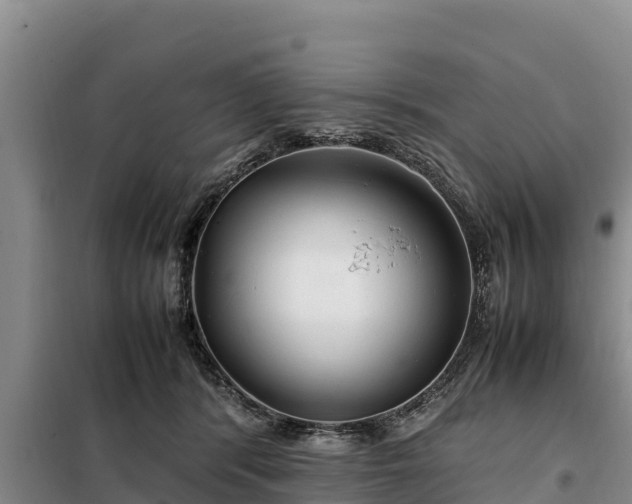 X0000099310416200805091022