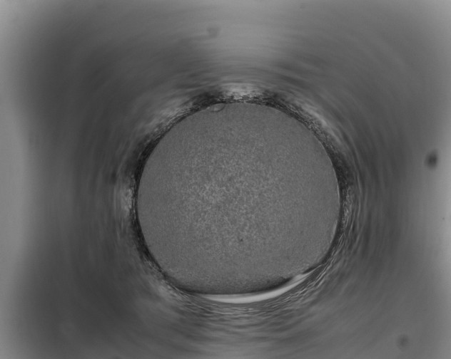 X0000099310417200805091022