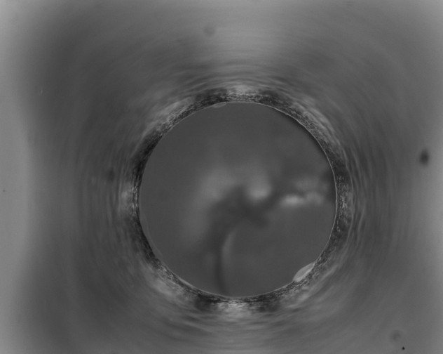 X0000099310419200805091022