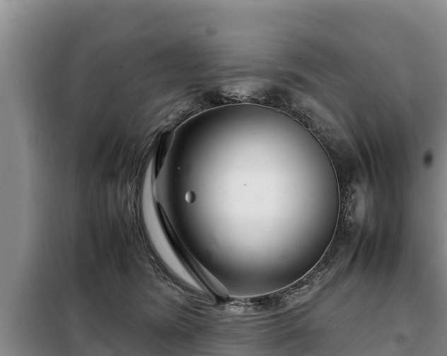 X0000099310420200805091022