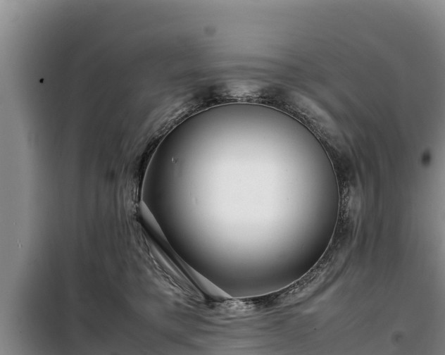 X0000099310421200805091022