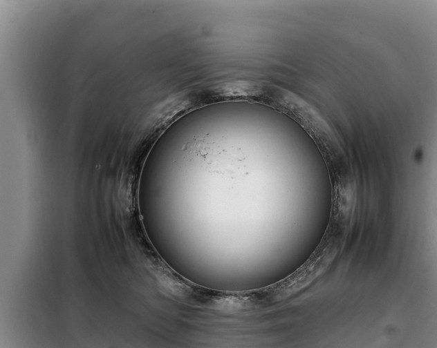 X0000099310422200805091022