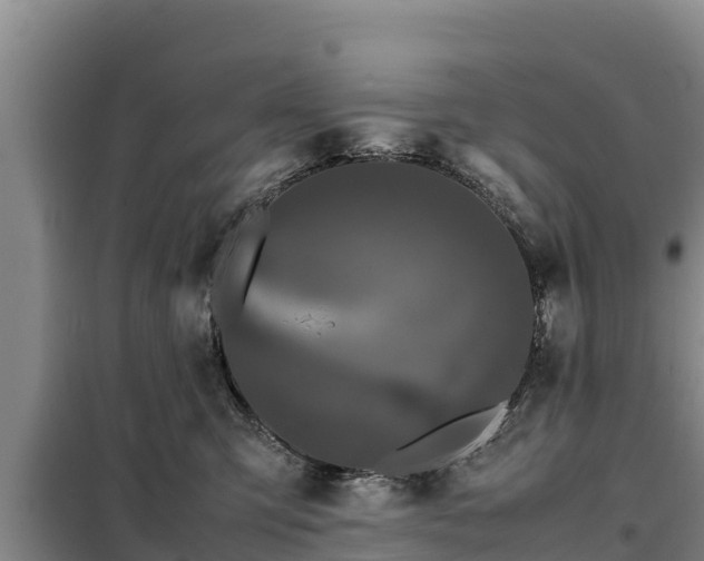 X0000099310423200805091022