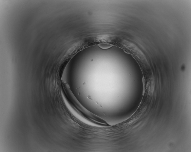 X0000099310424200805091022