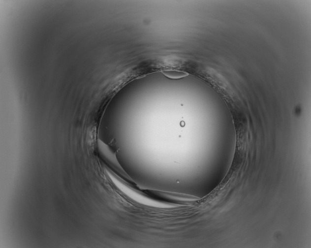 X0000099310425200805091022