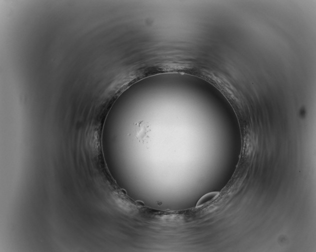 X0000099310426200805091022