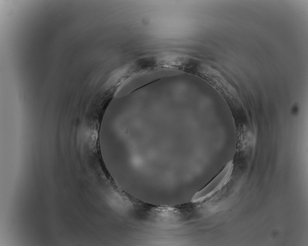 X0000099310427200805091022