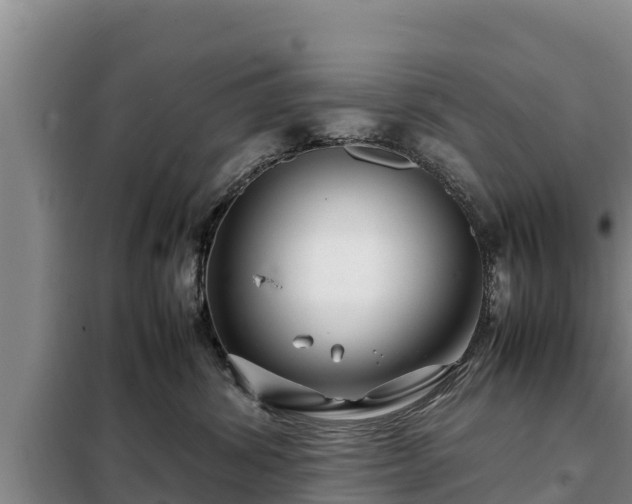 X0000099310428200805091022