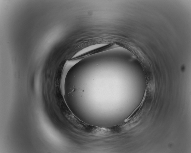 X0000099310429200805091022