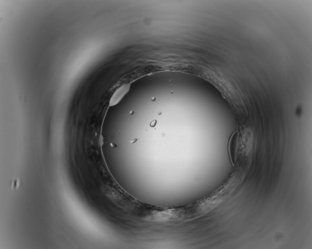 X0000099310430200805091022