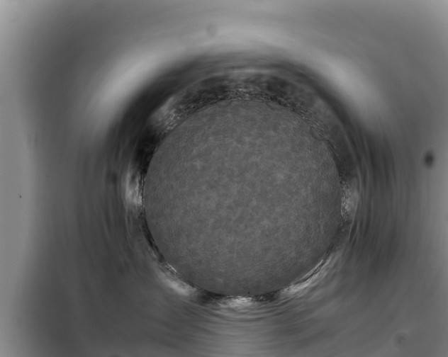 X0000099310431200805091022