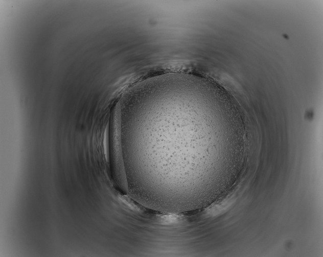 X0000099310432200805091022