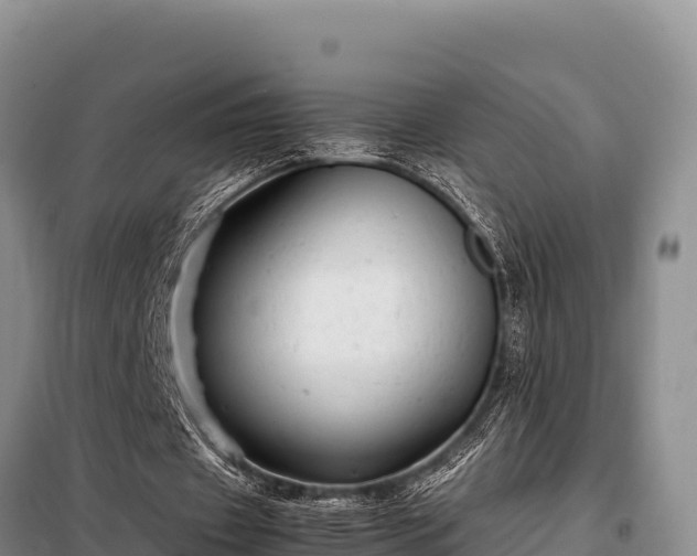 X0000099310433200805091021