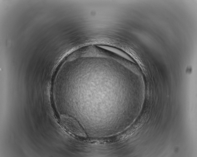 X0000099310434200805091021