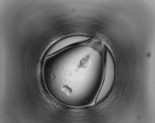 X0000099310435200805091021