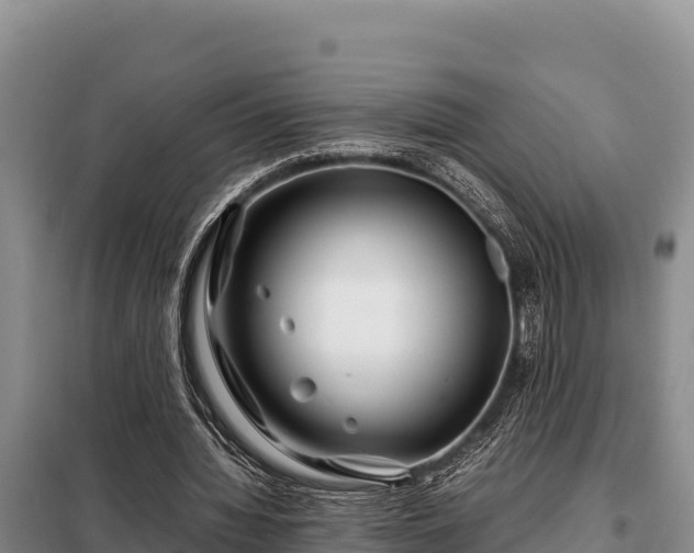 X0000099310436200805091021