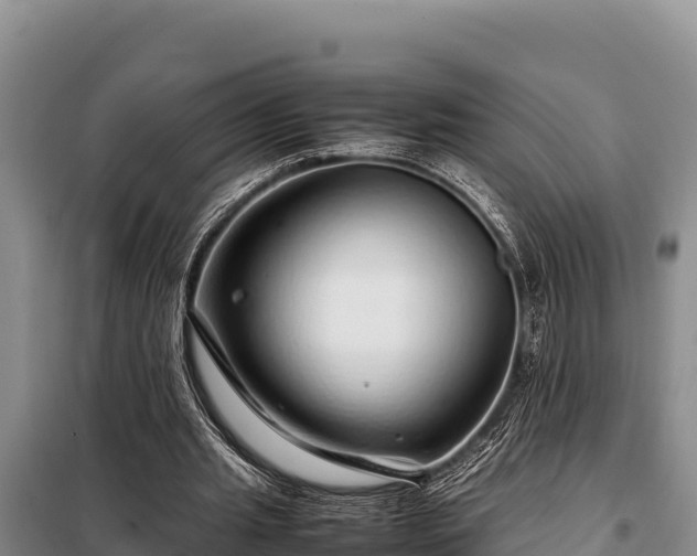 X0000099310437200805091021