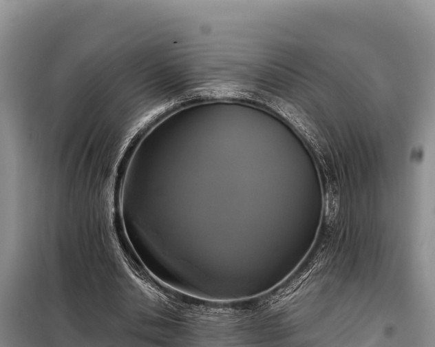 X0000099310438200805091021