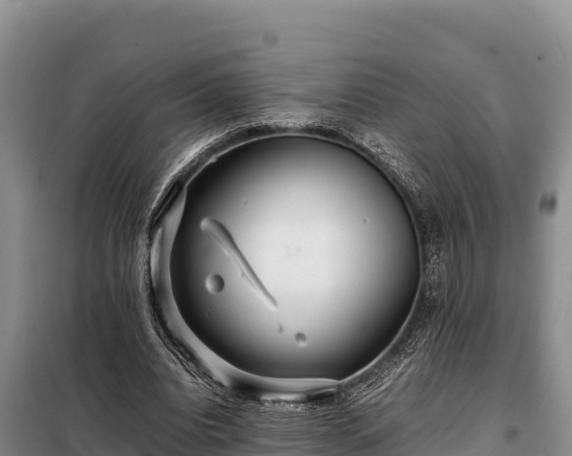 X0000099310440200805091021