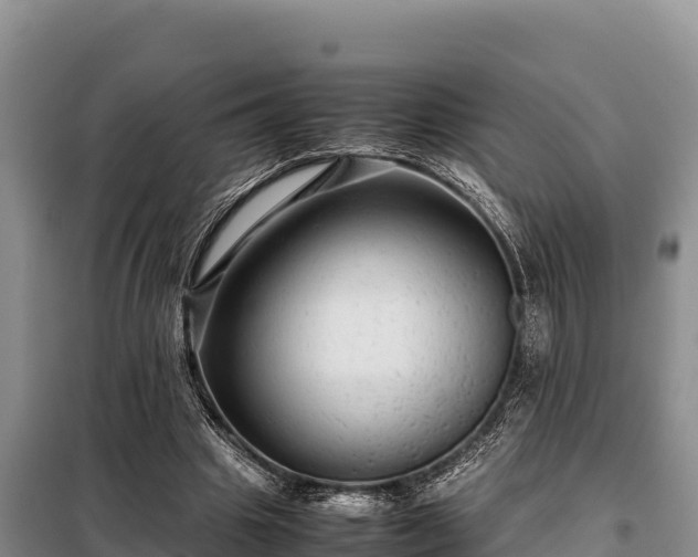 X0000099310441200805091021