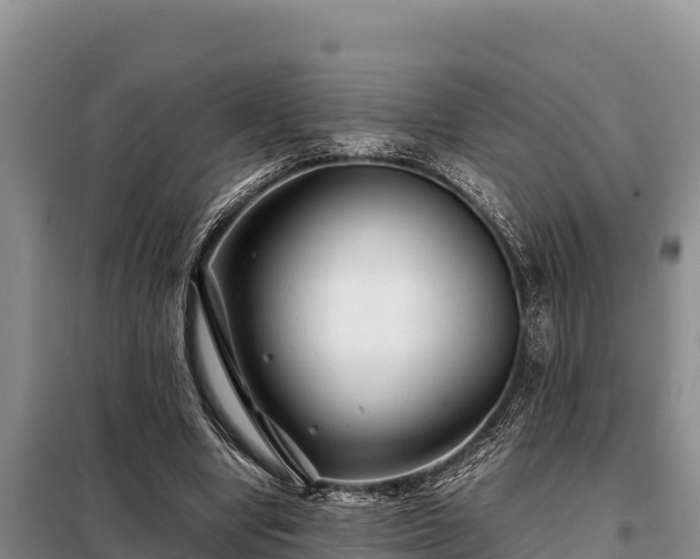 X0000099310442200805091021