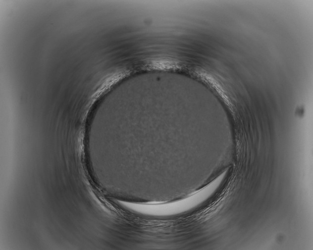 X0000099310443200805091021