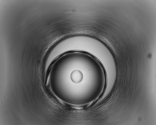 X0000099310444200805091021