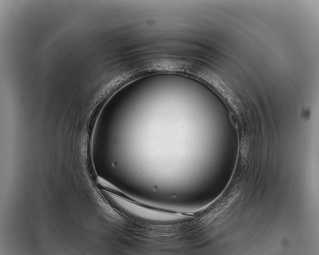 X0000099310445200805091021