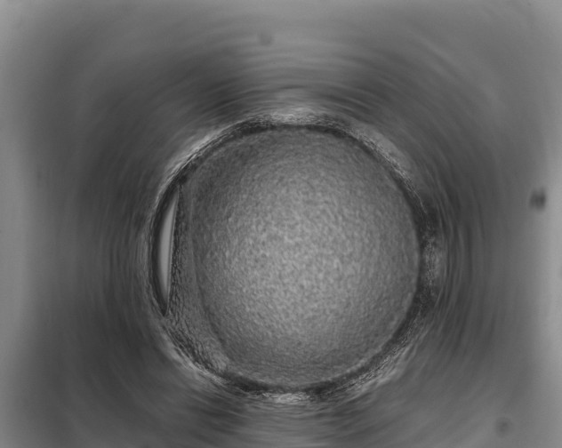 X0000099310446200805091021