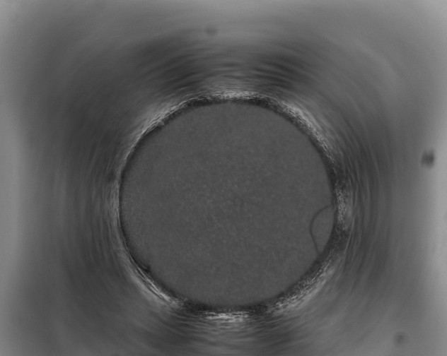 X0000099310447200805091021