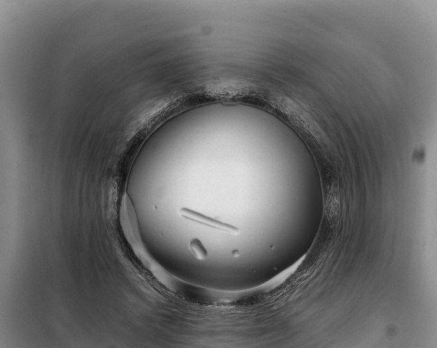 X0000099310448200805091021