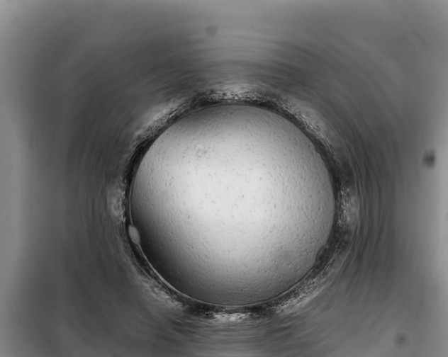 X0000099310450200805091021