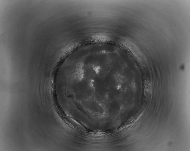 X0000099310451200805091021