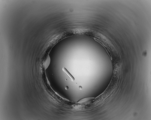 X0000099310452200805091021