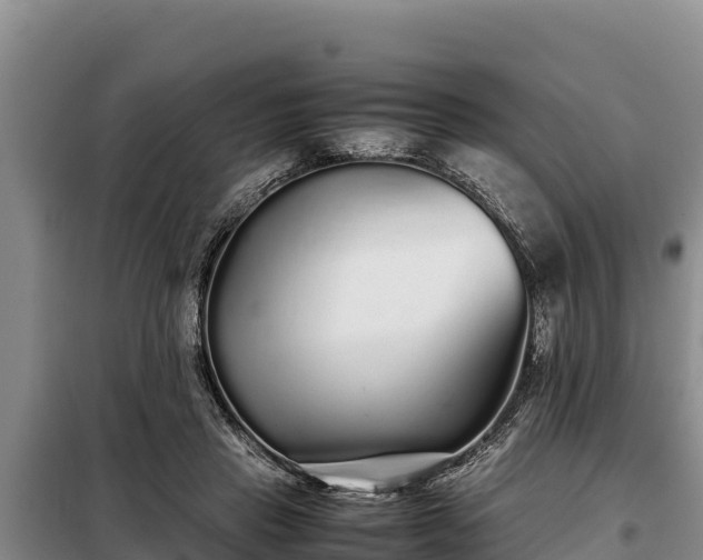 X0000099310453200805091022