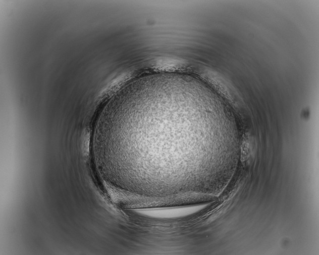 X0000099310454200805091022