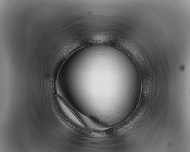 X0000099310455200805091022