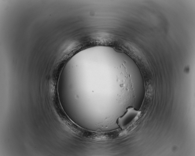 X0000099310456200805091022