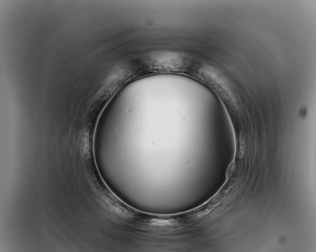 X0000099310457200805091022