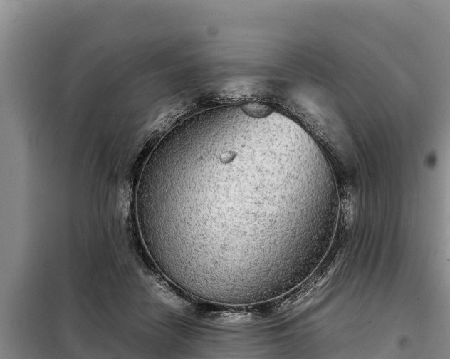 X0000099310458200805091022