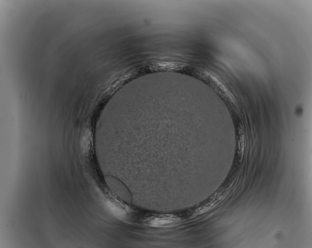 X0000099310459200805091022