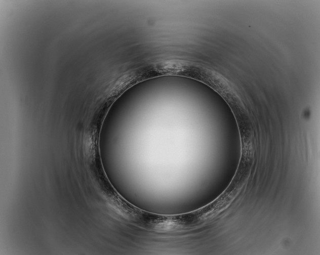 X0000099310460200805091022