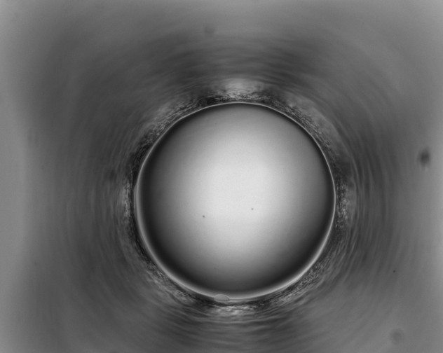 X0000099310461200805091022